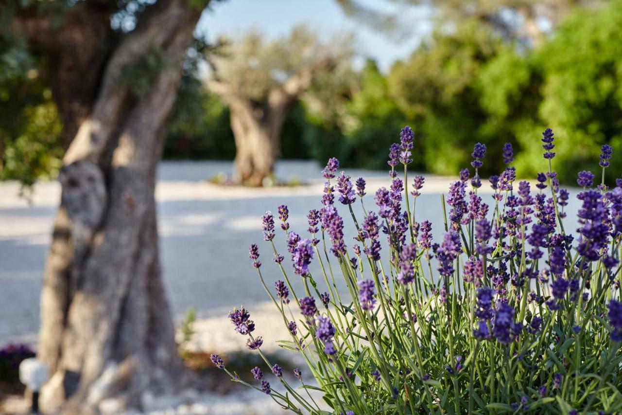 Agapanto Masseria Bed and Breakfast Conversano Exteriör bild