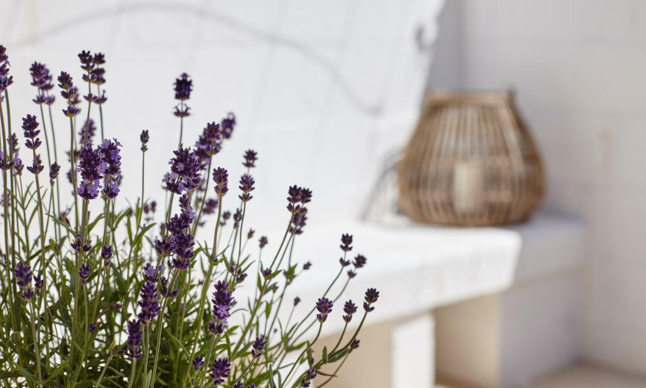 Agapanto Masseria Bed and Breakfast Conversano Exteriör bild
